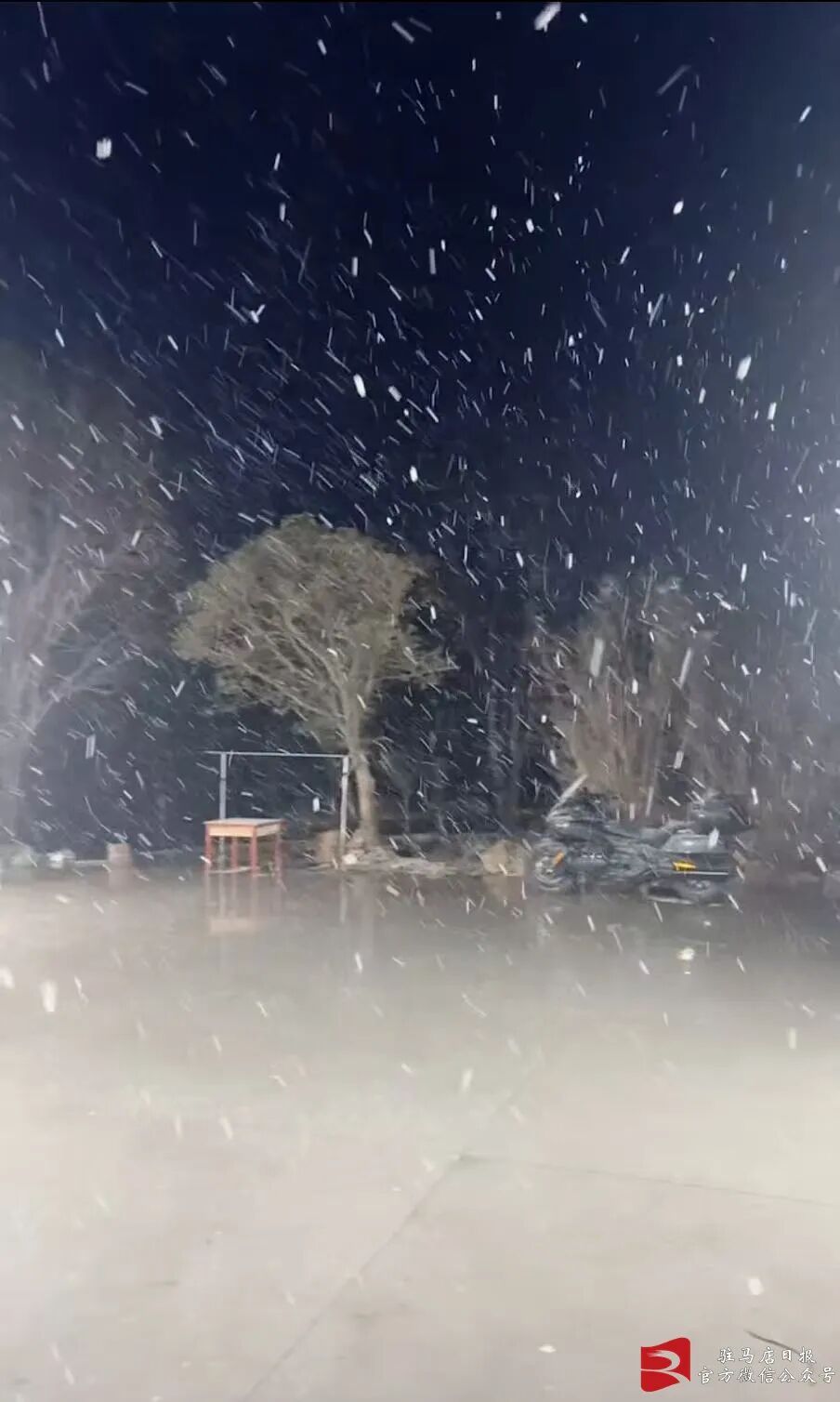 河南多地开始下雪啦！局地13级大风，明天还要下一天