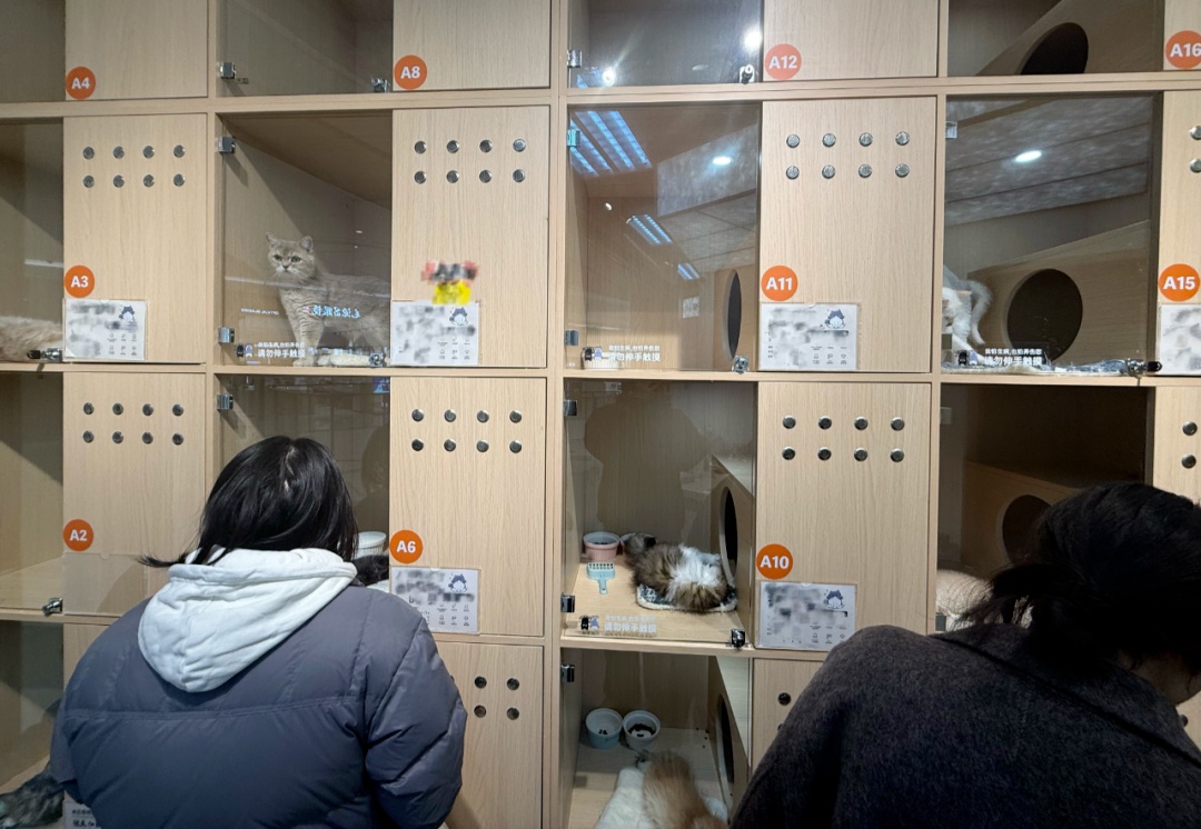 需求暴涨！最近这门生意太火爆！杭州有小伙春节能赚15000元