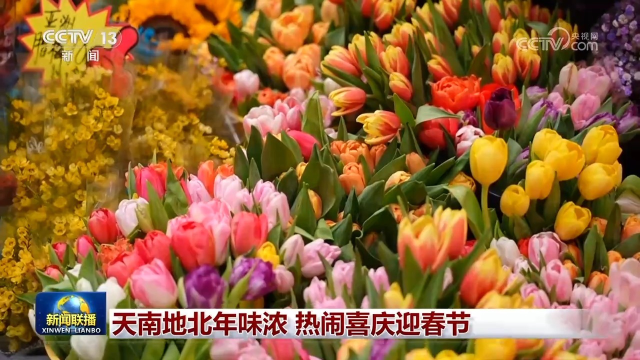 天南地北年味浓 热闹喜庆迎春节