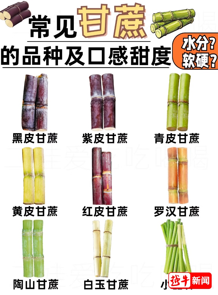 一根甘蔗87元?!男子称付完钱才反应过来,已退款! 一根甘蔗87元?!男子称付完钱才反应过来,已退款!