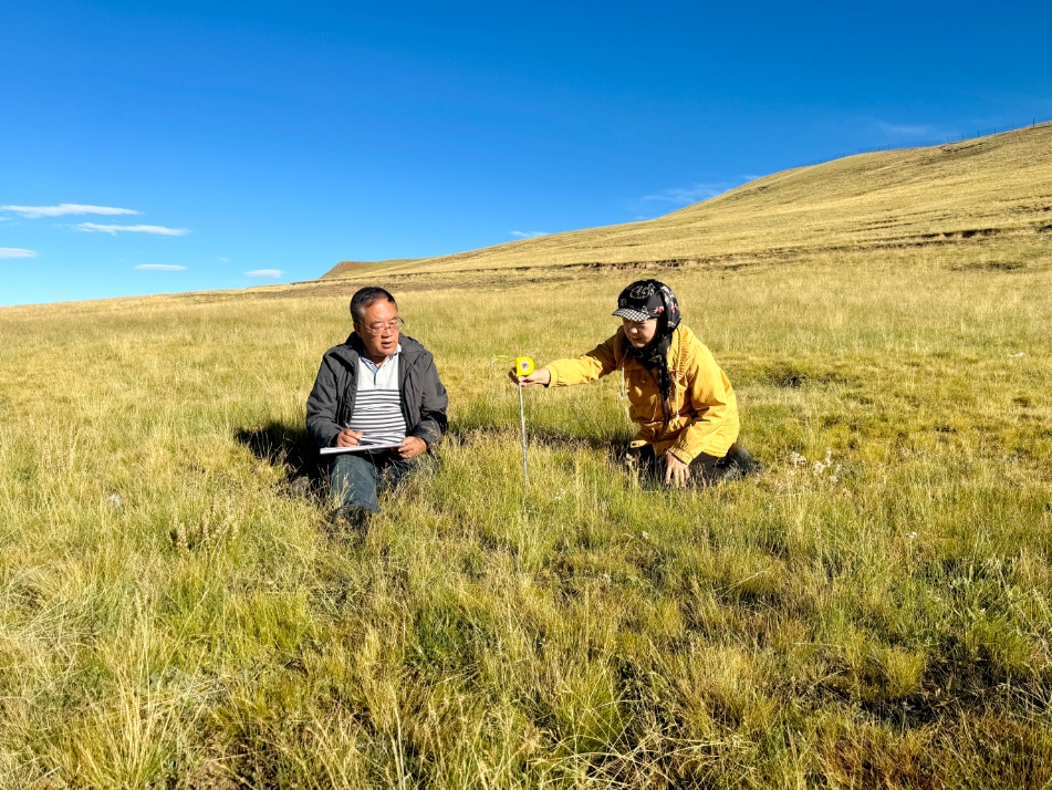 “牛博士”来了，牛犊“全部存活，而且长得壮实”！