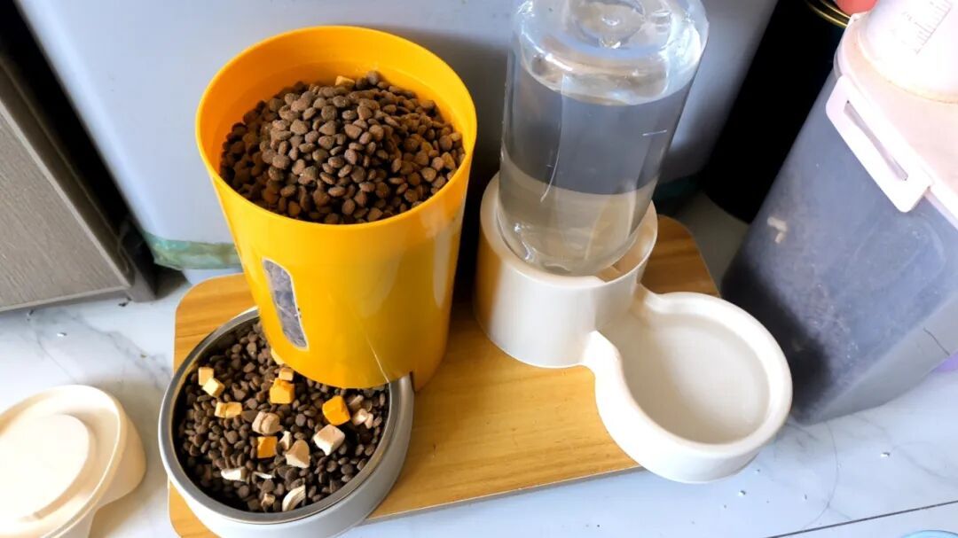 需求暴涨！最近这门生意太火爆！杭州有小伙春节能赚15000元