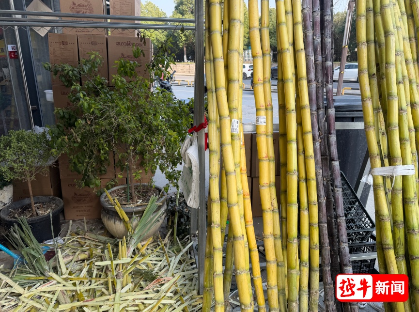 一根甘蔗87元?!男子称付完钱才反应过来,已退款! 一根甘蔗87元?!男子称付完钱才反应过来,已退款!