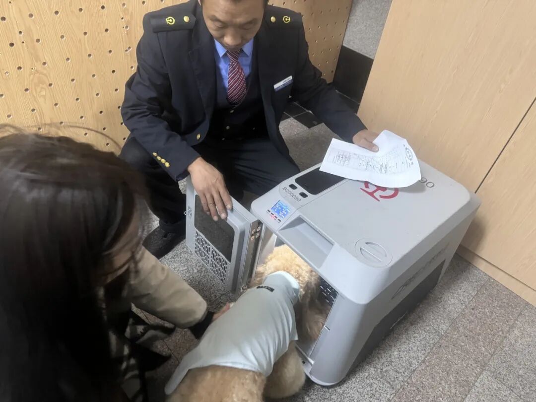 马上回家，团圆过年！