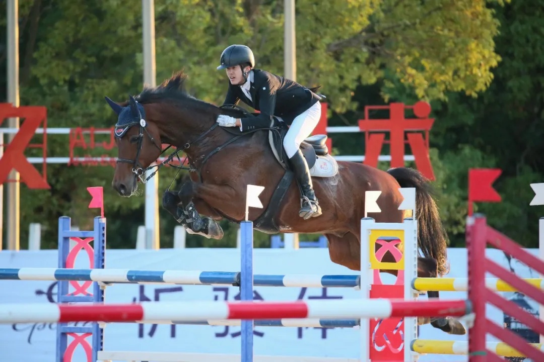 做好美甲、积极干饭,百万身价的赛马这样过春节 | 沪上寻马记 做好美甲、积极干饭,百万身价的赛马这样过春节 | 沪上寻马记
