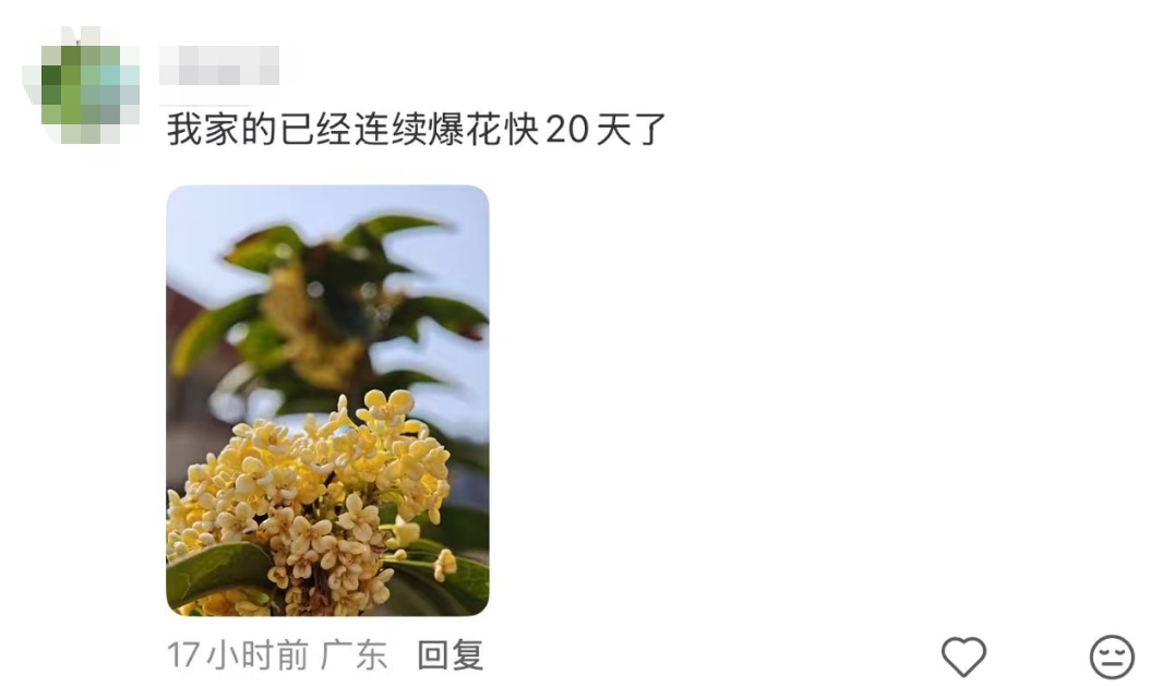 上海红红火火过大年？已抵沪！这波太猛，今天出门提前准备