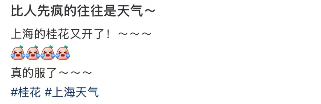 上海红红火火过大年？已抵沪！这波太猛，今天出门提前准备