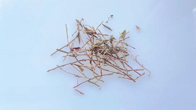 这种年宵花不要买,违法! 这种年宵花不要买,违法!