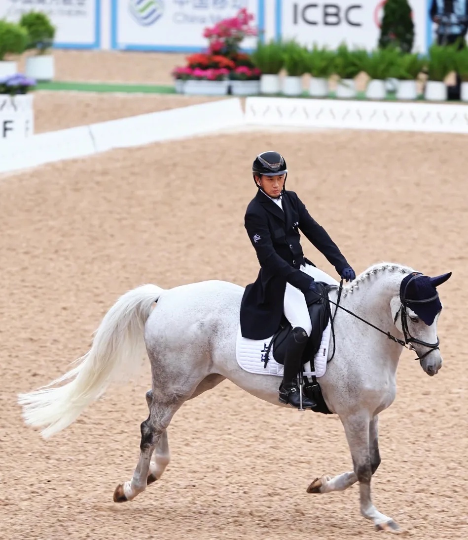 做好美甲、积极干饭,百万身价的赛马这样过春节 | 沪上寻马记 做好美甲、积极干饭,百万身价的赛马这样过春节 | 沪上寻马记