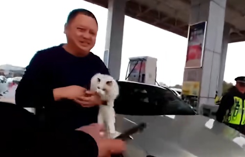 男子驾车返乡途中临时下车，竟被车内小猫误触锁车键锁在车外