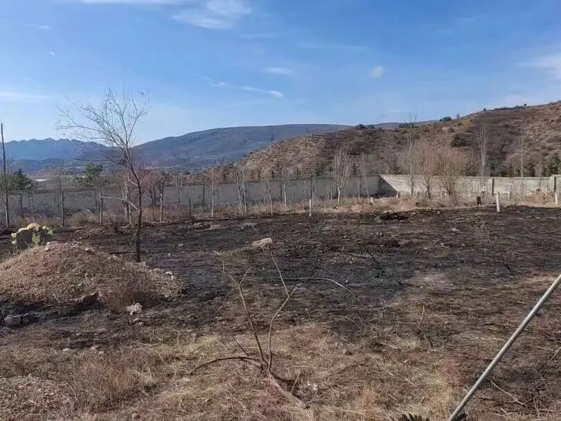 呼和浩特警方：张某某，依法行政处罚