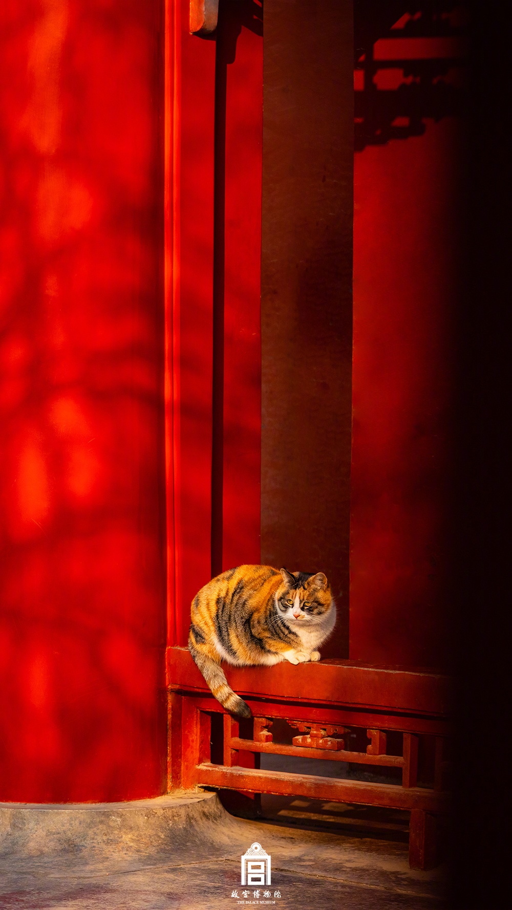 故宫中国红壁纸，上新！