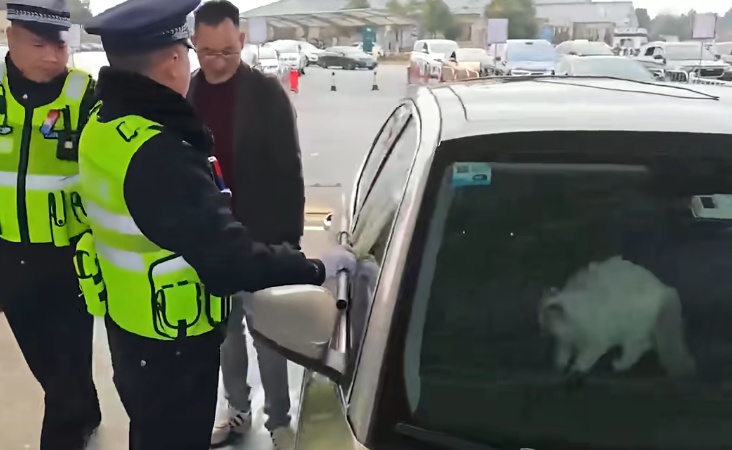 男子驾车返乡途中临时下车，竟被车内小猫误触锁车键锁在车外