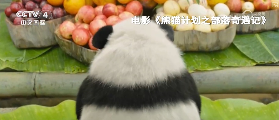 春节档观影“科技范”拉满 优质作品叠加震撼观影体验释放电影市场新活力