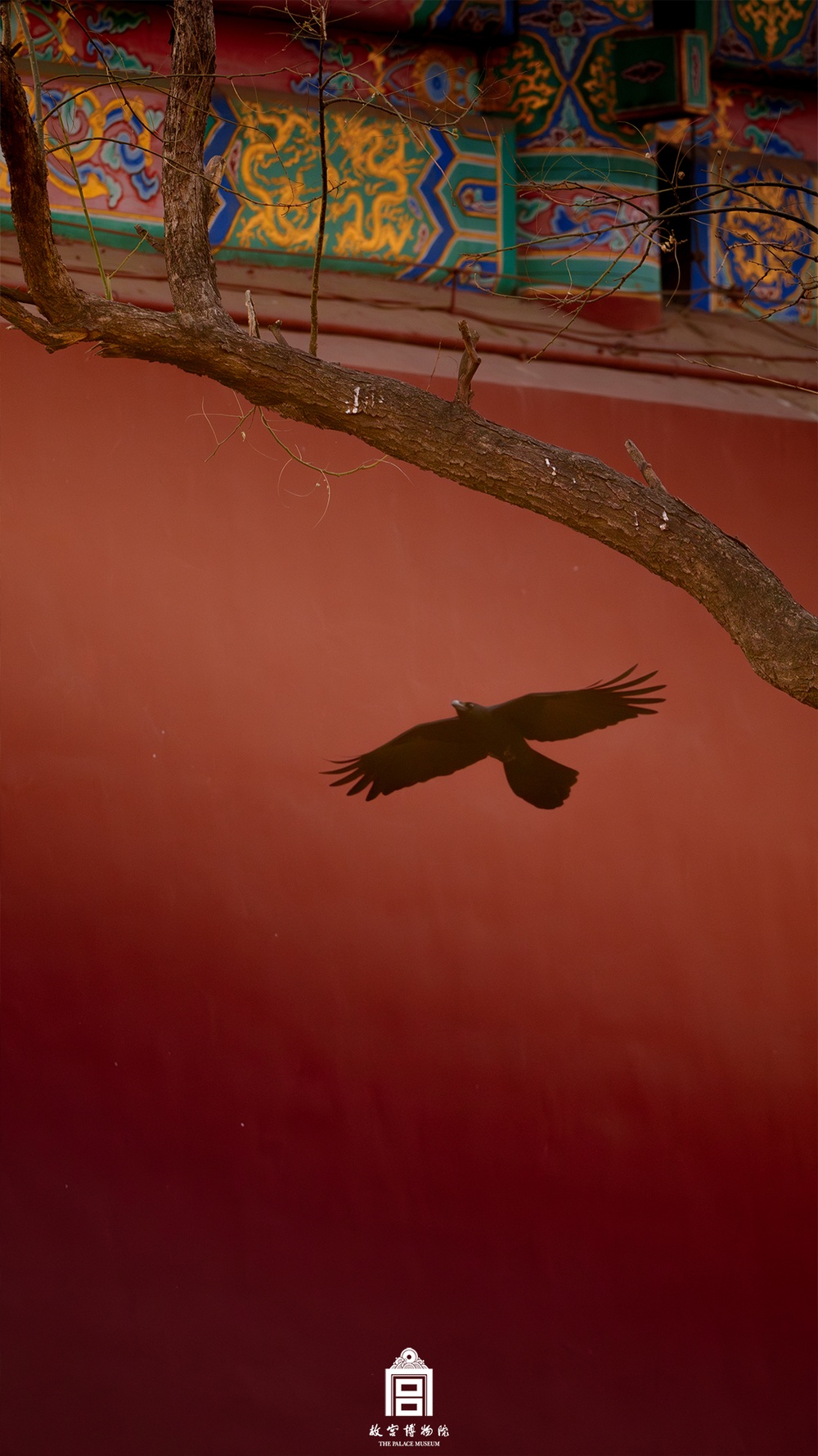 故宫中国红壁纸，上新！