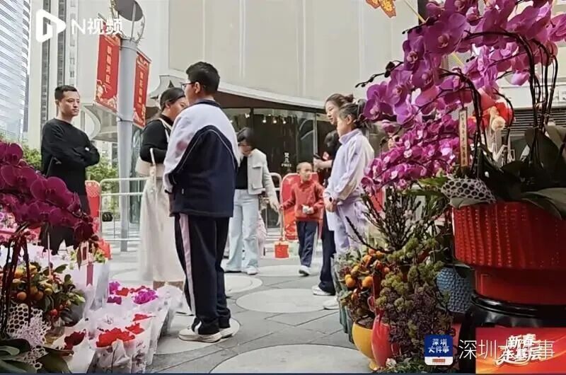 深圳“10后”兄妹放寒假在花市摆摊！第一单卖了680元！“没有零花钱，都是自己赚”