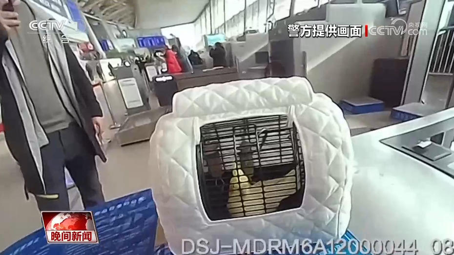 春节出游 行李携带有讲究 春节出游 行李携带有讲究