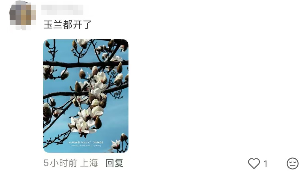 上海红红火火过大年？已抵沪！这波太猛，今天出门提前准备