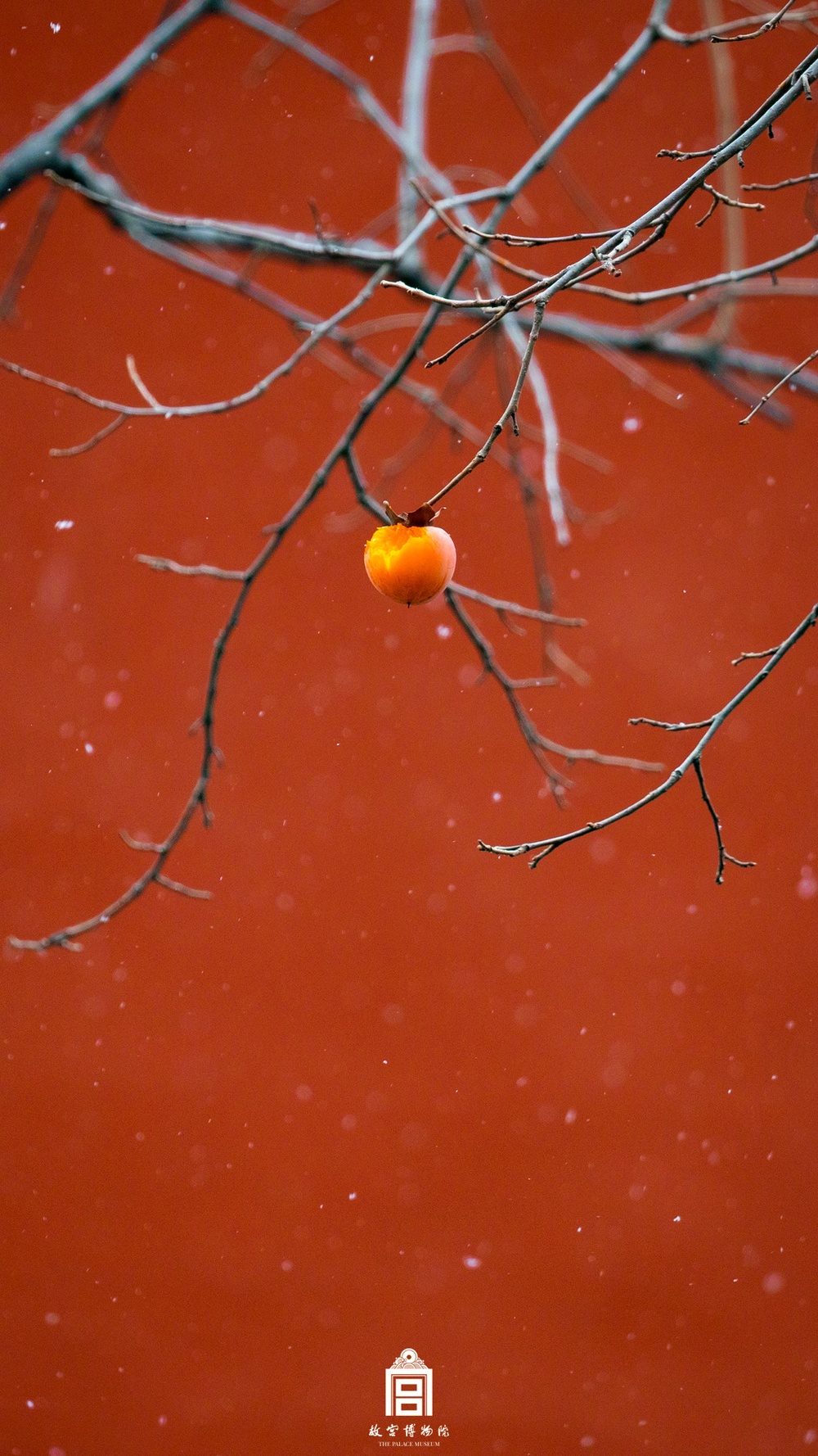 故宫中国红壁纸，上新！