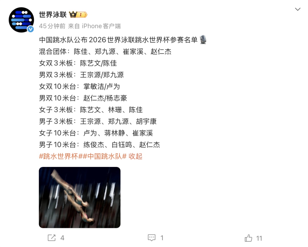 全红婵、陈芋汐双双缺席，中国跳水队2026世界泳联跳水世界杯参赛名单公布