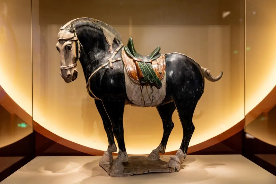 本文“黑马”含量过高,想沾福气的进 本文“黑马”含量过高,想沾福气的进