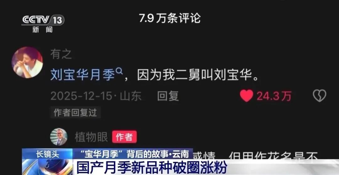 宝华二舅,你上春晚了 宝华二舅,你上春晚了