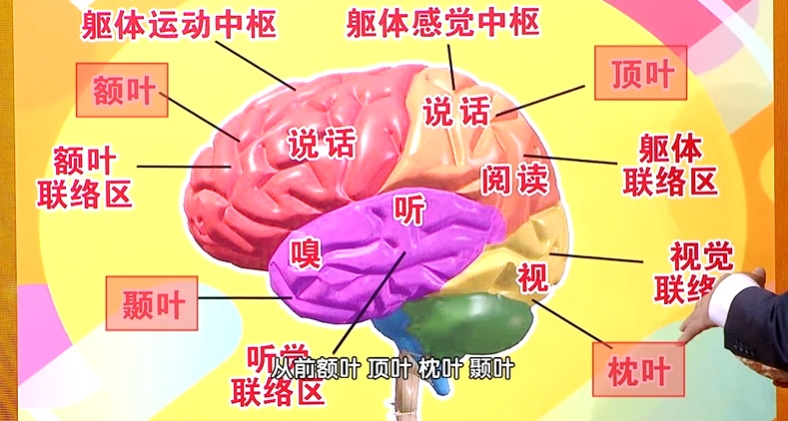 晨起这件事伤脑，4招教你自救