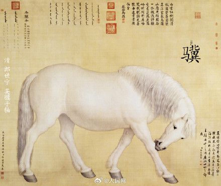 古人为马起了多少种名字