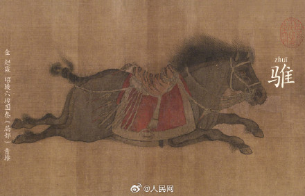 古人为马起了多少种名字