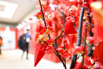 当米兰冬奥遇上中国春节，看中华文化在海外“圈粉”