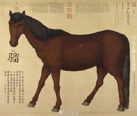 古人为马起了多少种名字