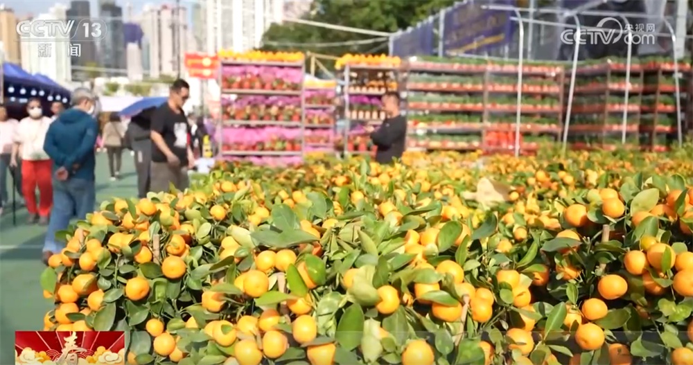 “流光溢彩”中祝福祖国蒸蒸日上、国泰民安 “辞旧岁+迎新春”火热上演