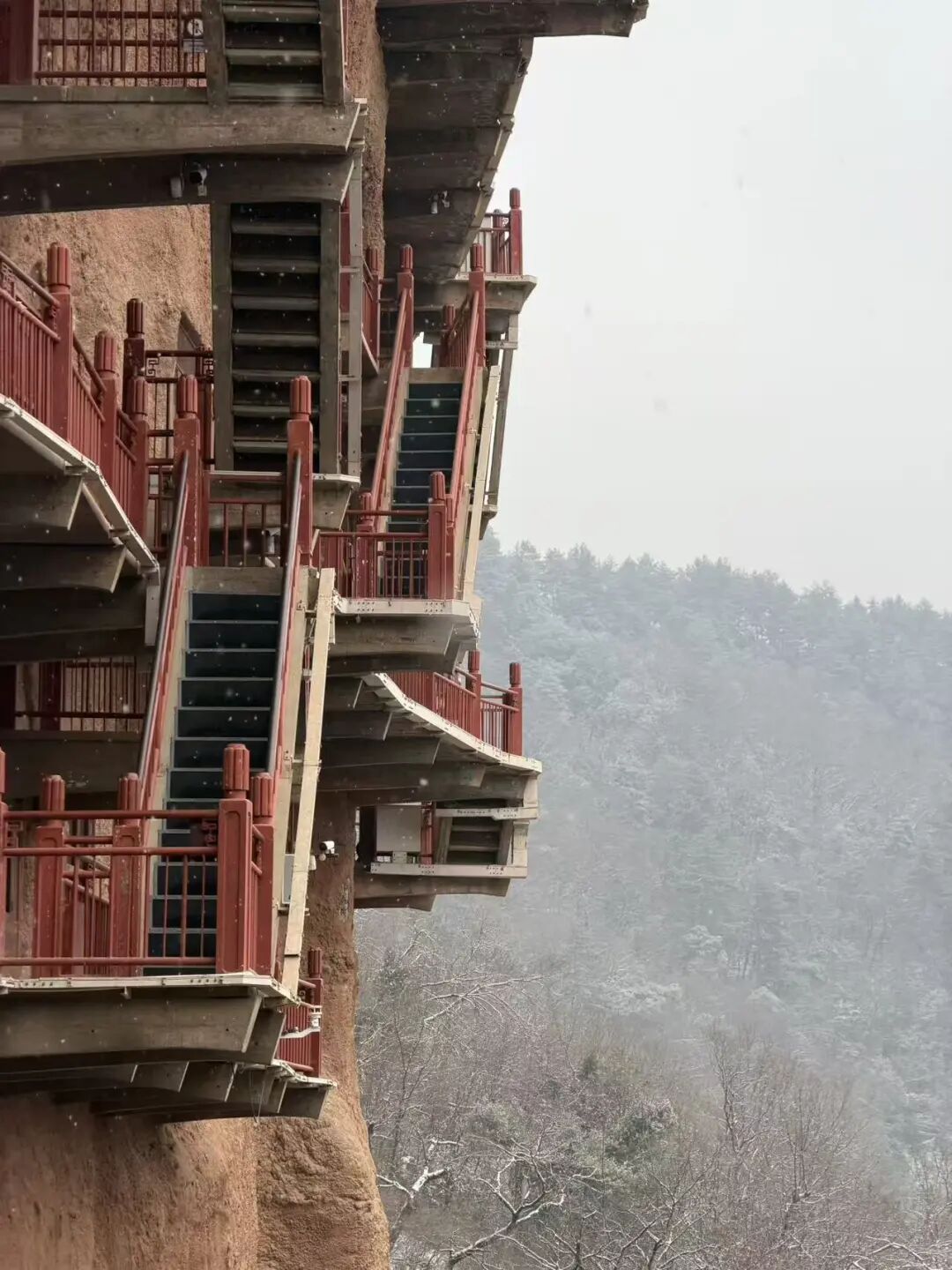 一条栈道走半生!他们在悬崖之上,为千年瑰宝“把脉开方” 一条栈道走半生!他们在悬崖之上,为千年瑰宝“把脉开方”