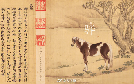 古人为马起了多少种名字