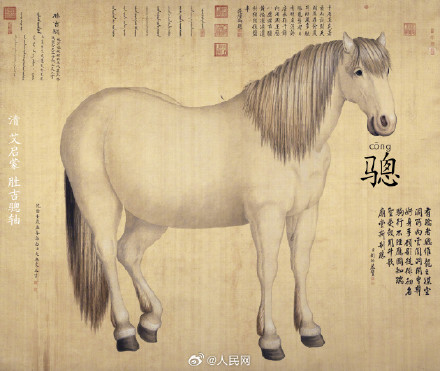 古人为马起了多少种名字