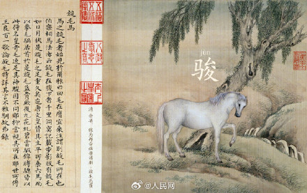 古人为马起了多少种名字