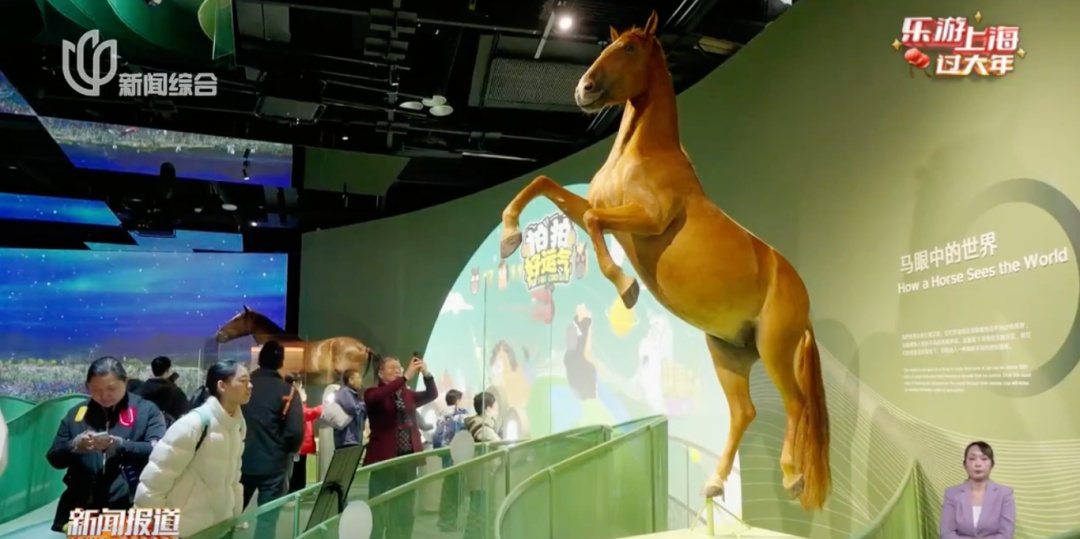 上海这里人扑扑满！几万人涌入，"完全走不动"！这几日延迟一小时关闭️