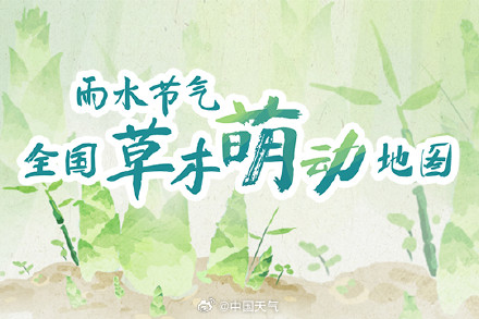 节气物候图鉴：春风化雨 全国草木萌动地图 看哪里雨水时节春意显