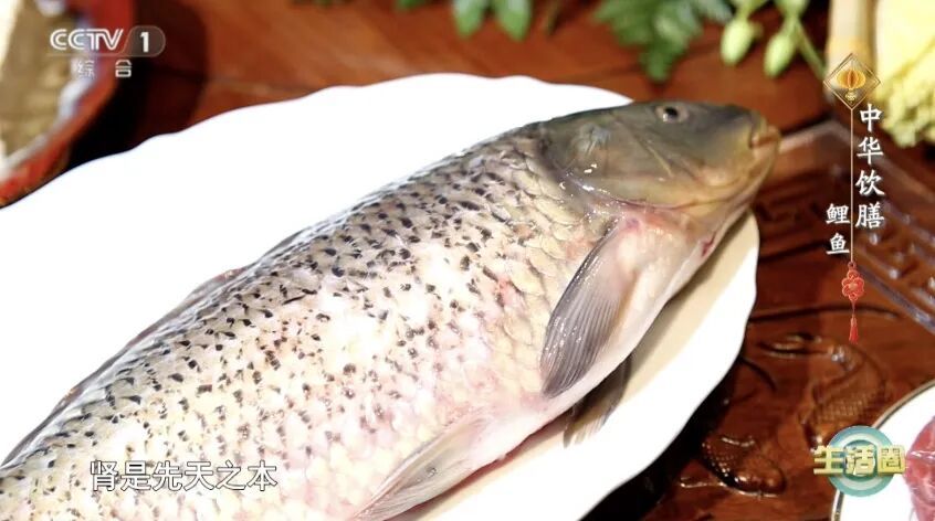这种鱼便宜又营养，尤其适合春天吃～两种吃法让你脾胃好了，长寿又聪明