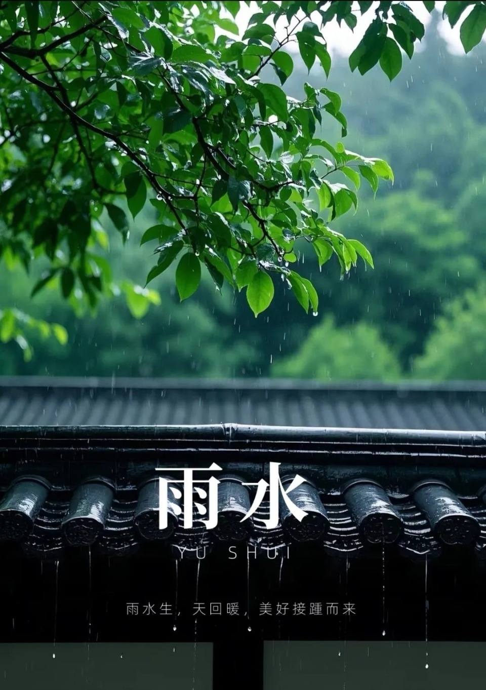 今日雨水 | 中医眼中的雨水时节:阳气生发,是养生保健的关键时期 今日雨水 | 中医眼中的雨水时节:阳气生发,是养生保健的关键时期