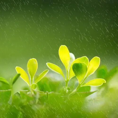 今日雨水 | 今天起，饮食建议少酸多甜