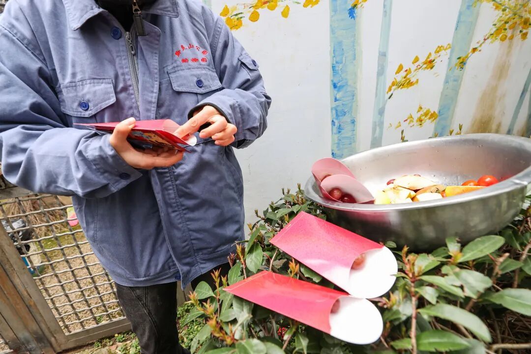 “新年餐”“大红包”安排上了！黔灵山公园动物欢乐闹新春