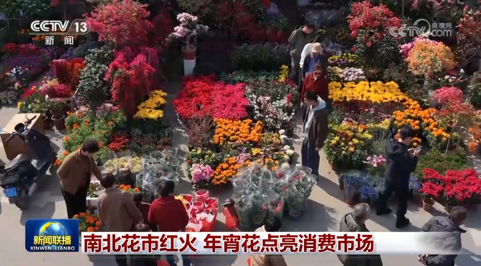 南北花市红火 年宵花点亮消费市场 南北花市红火 年宵花点亮消费市场