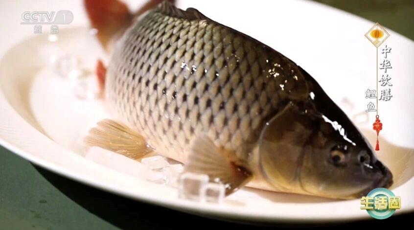 春天吃鱼就选它！实惠又营养 鲜美应季更养生→