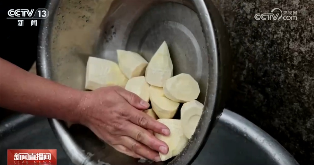 春日“鲜”滋味将“春天”盛到“碗”里来 舌尖美味满满团圆年味