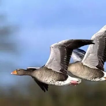 今日雨水 | 今天起，饮食建议少酸多甜
