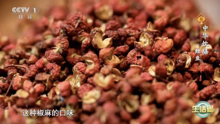 这种鱼便宜又营养，尤其适合春天吃～两种吃法让你脾胃好了，长寿又聪明