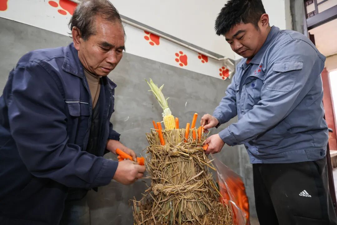 “新年餐”“大红包”安排上了！黔灵山公园动物欢乐闹新春