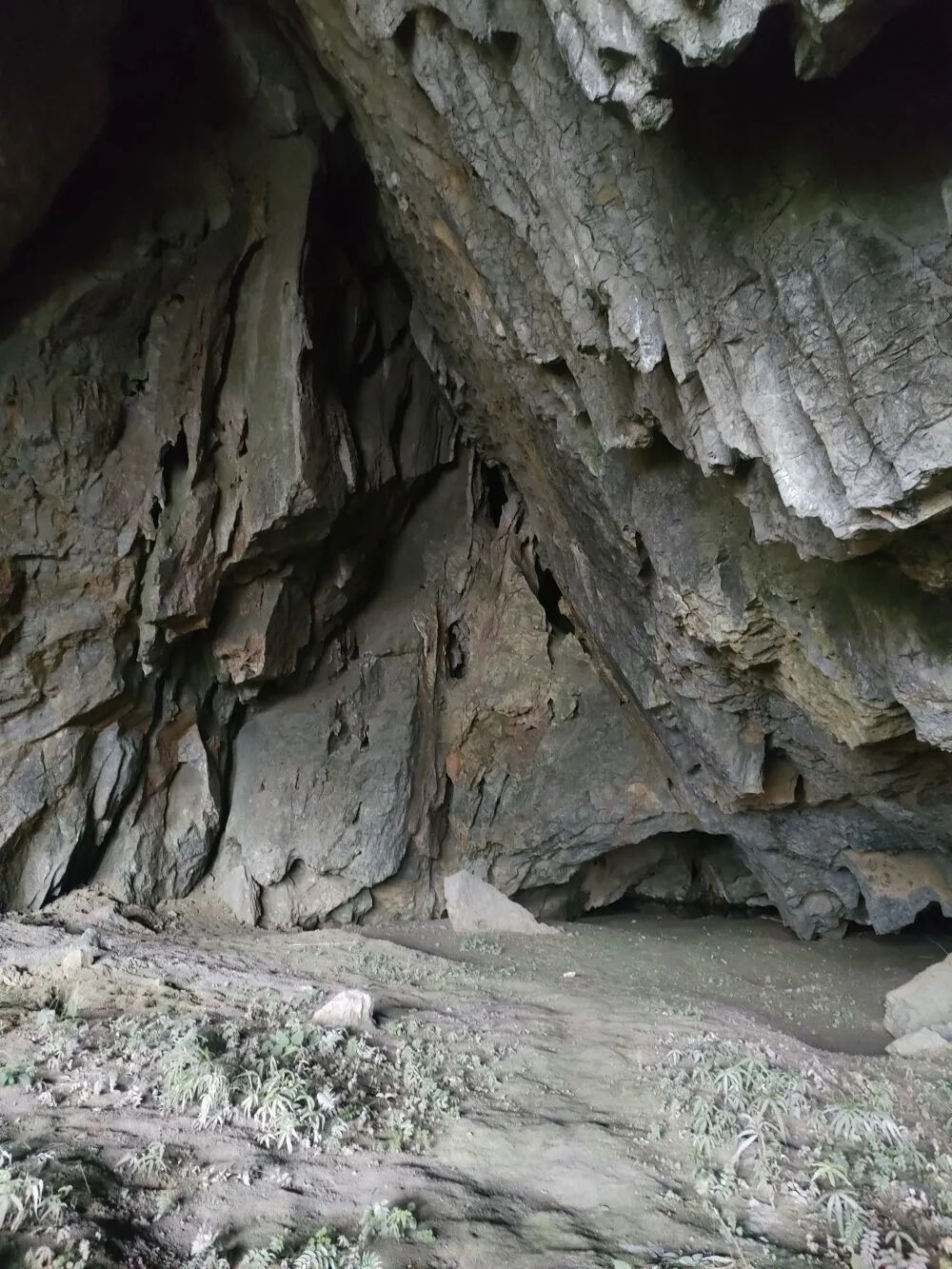 “纳雍盲高原鳅” ,被发现了! “纳雍盲高原鳅” ,被发现了!