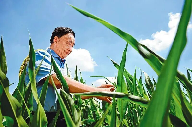 春晚观众席,原来都是熟面孔 春晚观众席,原来都是熟面孔